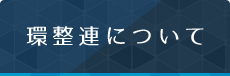 環整連について